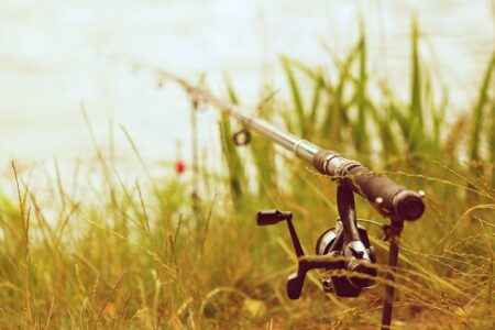 Fiskespö uppställt vid vass